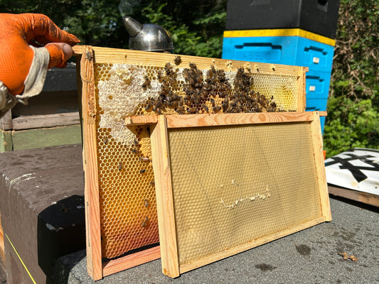 a dadant frame behind a national frame to show the dramatic sixze difference. the dadant is much bigger.