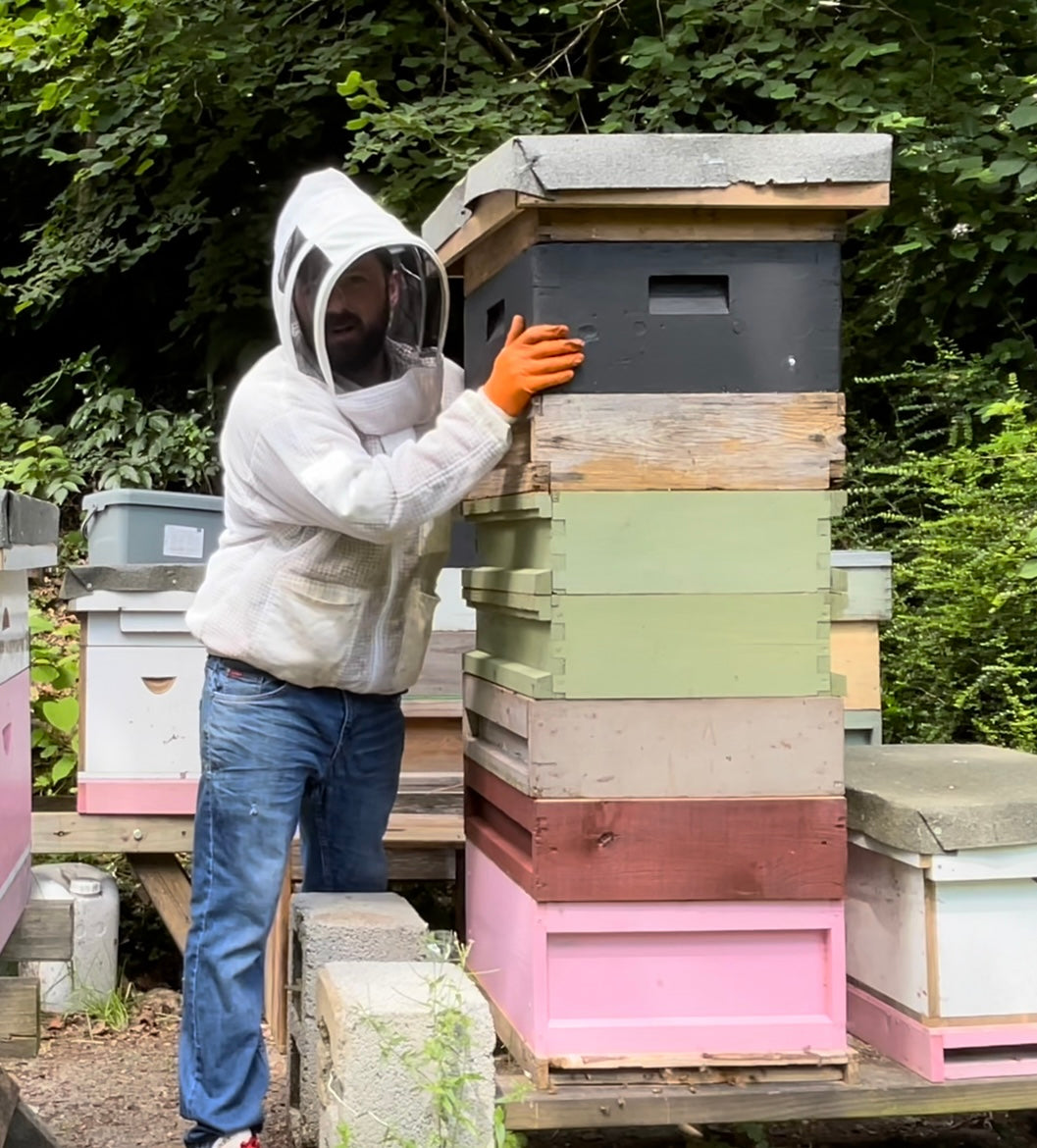 wayne parry, head beekeeper at draigwen honey holding onto a colourful beehive with 6 boxes collecting honey