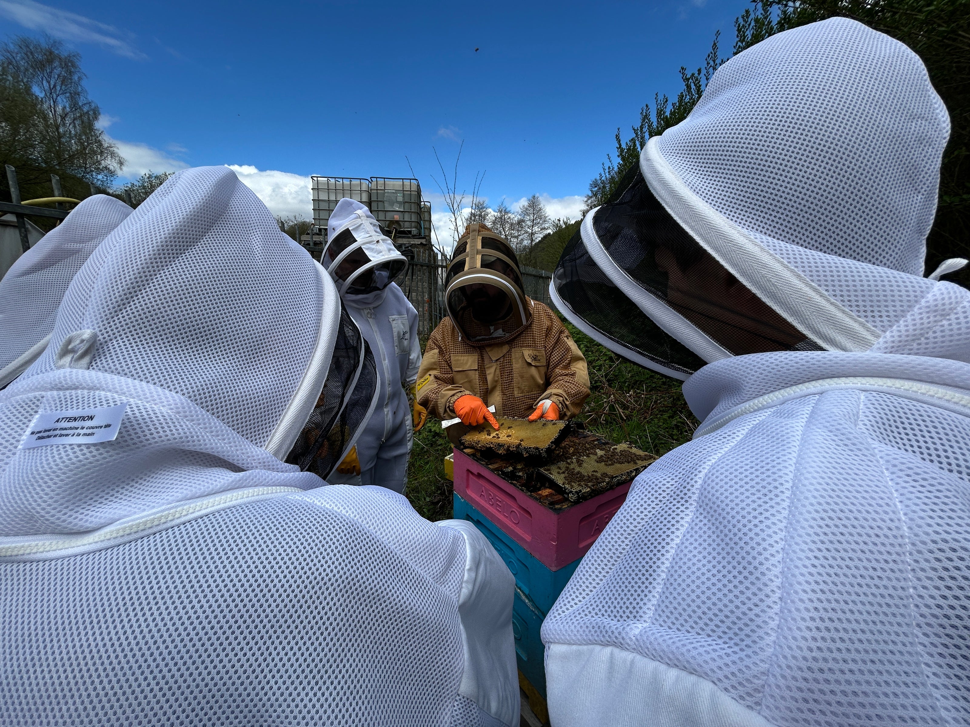 a group of begginer beekeepers surrounding an open beehive with an experienced instructor showing them the magic of bees