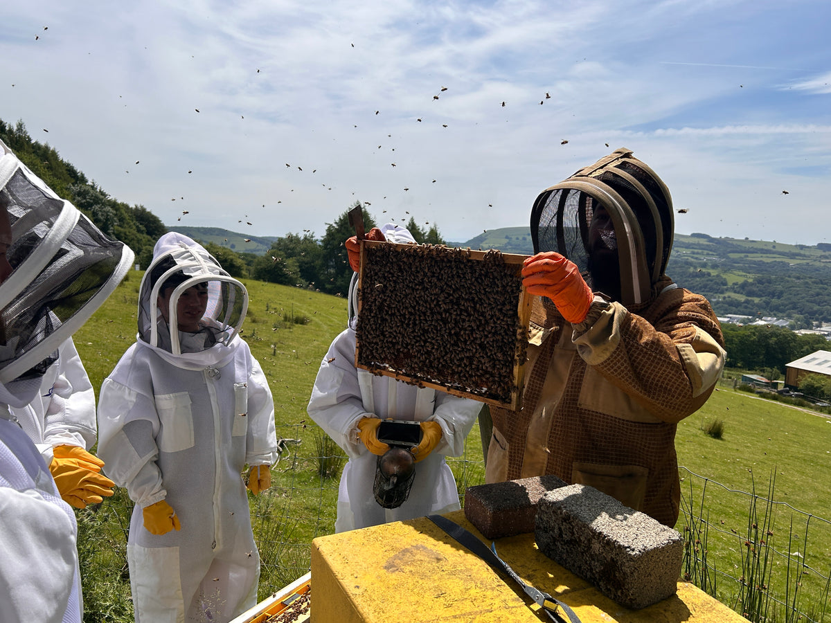 a head beekeeper showing a group of children a frame of bees. All of them are wearing full bee suits. 
