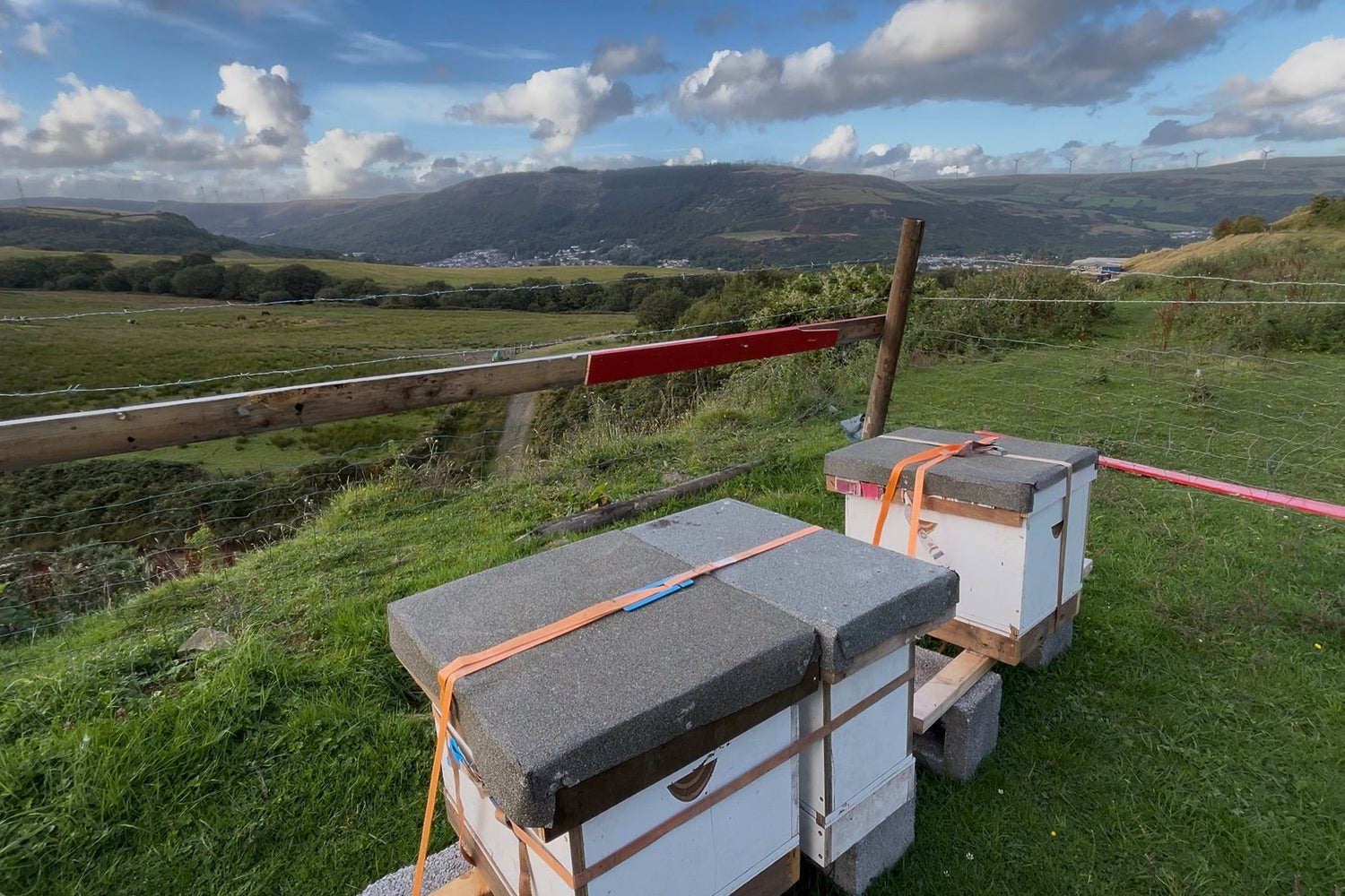 3 bee hives in south wales strapped down protected from the elemets, the local welsh hills in the background