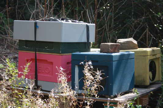 Colorful beekeeping nuc boxes on a wooden platform with a natural background