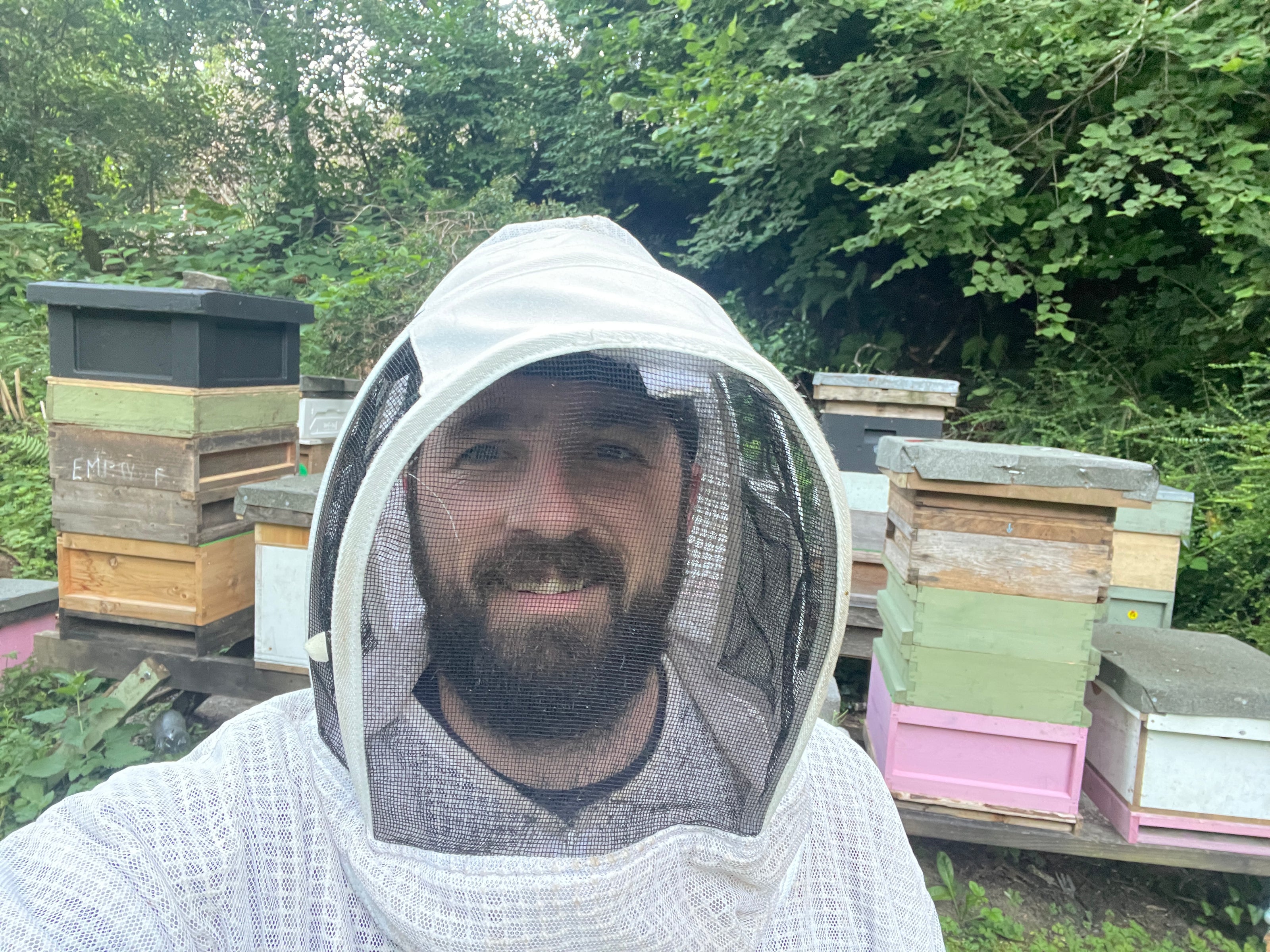 beekeeper in south wales in. full bee suit with many multicoloured hives behind him. 